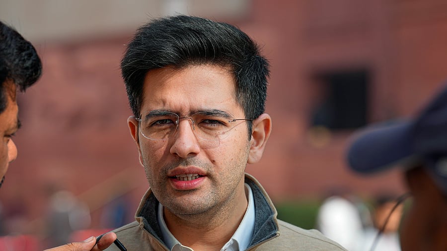 <div class="paragraphs"><p>AAP MP Raghav Chadha </p></div>